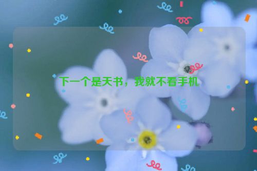 下一个是天书，我就不看手机