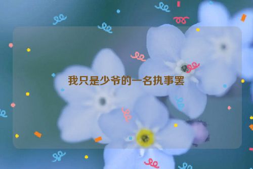 我只是少爷的一名执事罢