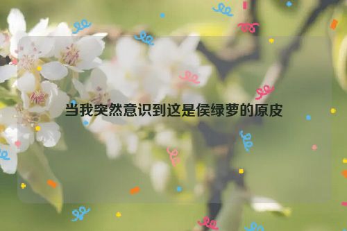 当我突然意识到这是侯绿萝的原皮