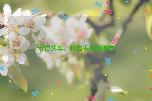 末世买车，路边不是随便贱