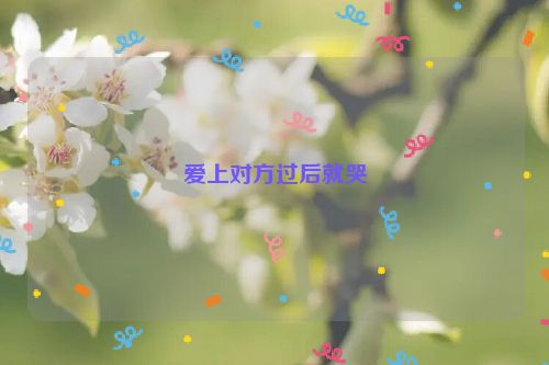 爱上对方过后就哭