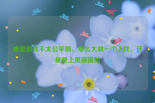 感觉游戏不太公平啊，那么大就一个人找，还是晚上黑摸摸的