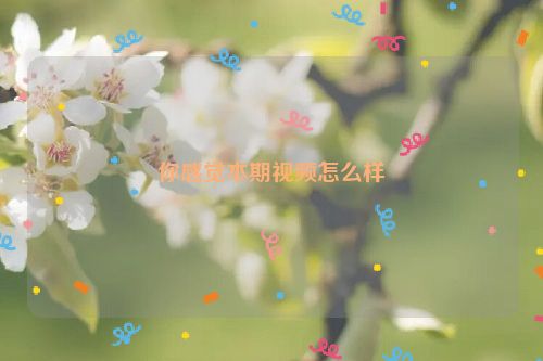 你感觉本期视频怎么样