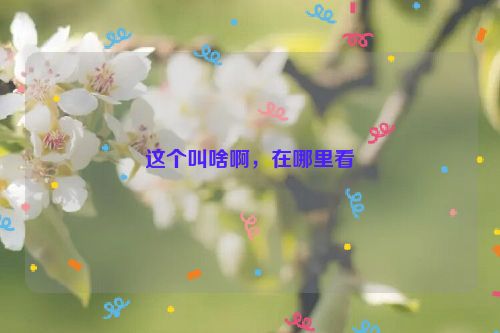 这个叫啥啊，在哪里看