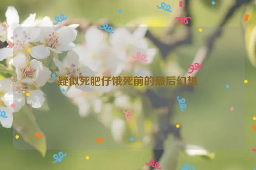 疑似死肥仔饿死前的最后幻想