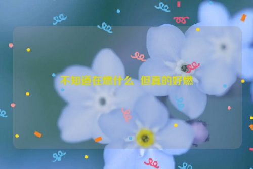 不知道在燃什么  但真的好燃