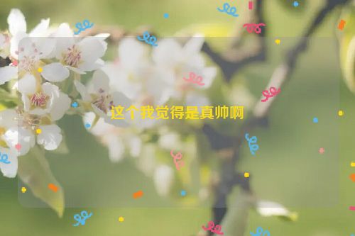 这个我觉得是真帅啊
