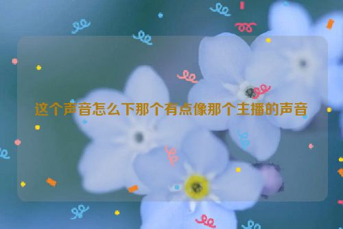 这个声音怎么下那个有点像那个主播的声音