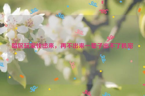暗区玩家快出来，再不出来一辈子出不了机密