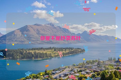 你是不是抄袭苏叶