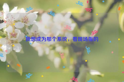 我想成为那个系统，看现场版的