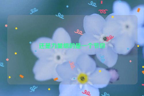 还是力量组的是一个节目