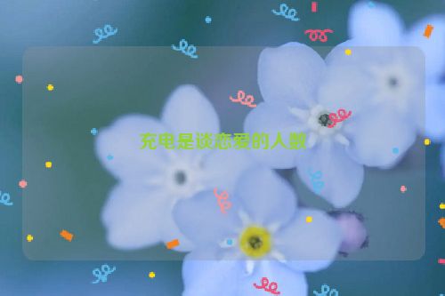 充电是谈恋爱的人数