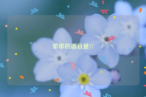 弟弟的谐音是77