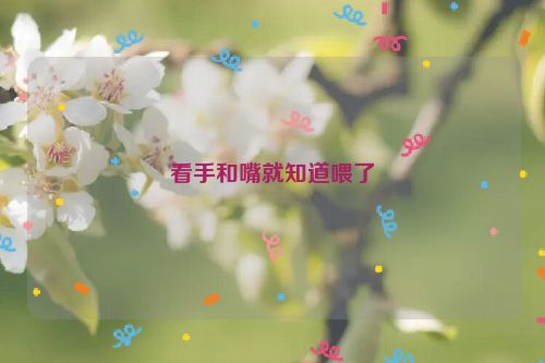 看手和嘴就知道喂了