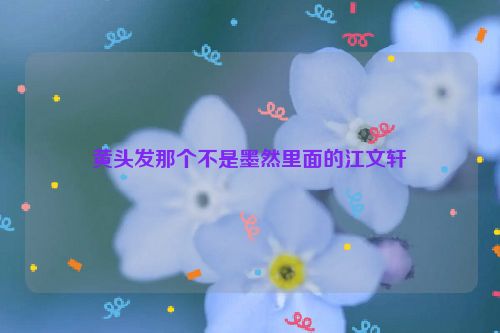 黄头发那个不是墨然里面的江文轩