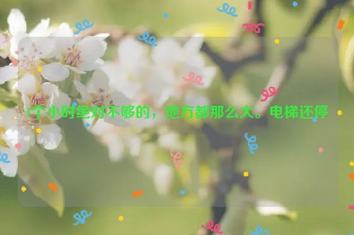 1个小时绝对不够的，地方都那么大。电梯还停