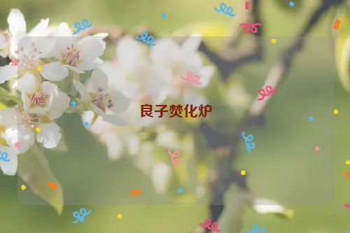良子焚化炉